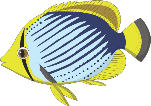 (s337-8-1I) Tropical Fish