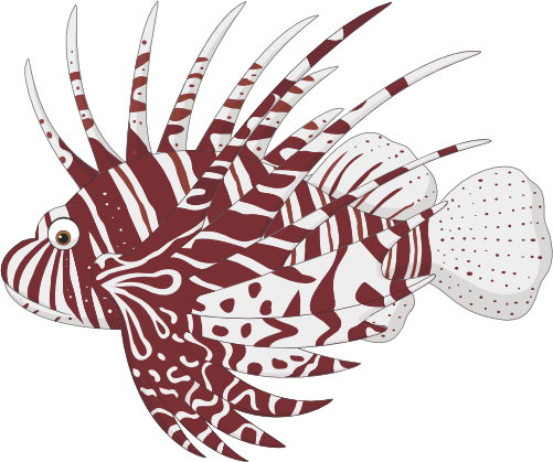 (s337-8-1K) Tropical Fish