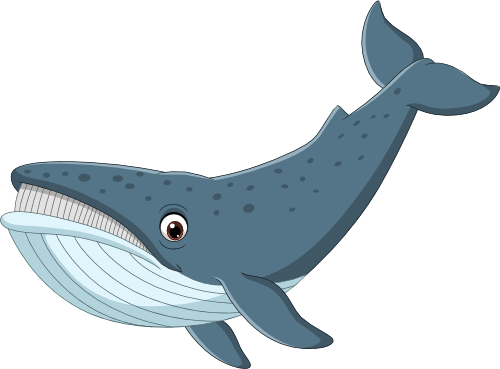 (s337-8-2K) Whale