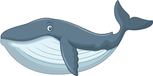 (s337-8-2M) Whale