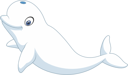 (s337-8-2N) Beluga