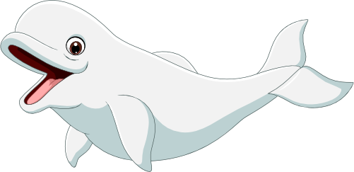 (s337-8-2O) Beluga