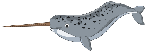 (s337-8-2P) Narwhal