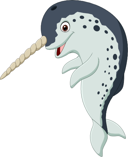 (s337-8-2R) Narwhal