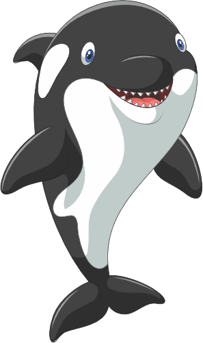 (s337-8-2S) Orca Killer Whale