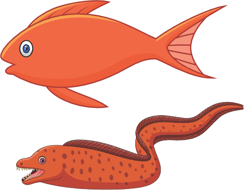 (s337-8-1T) Tropical Fish Eel