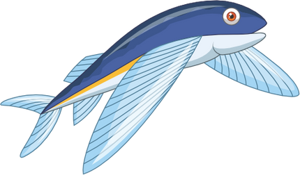 (s337-8-1U) Flying Fish