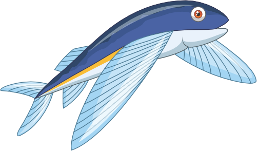 (s337-8-1U) Flying Fish