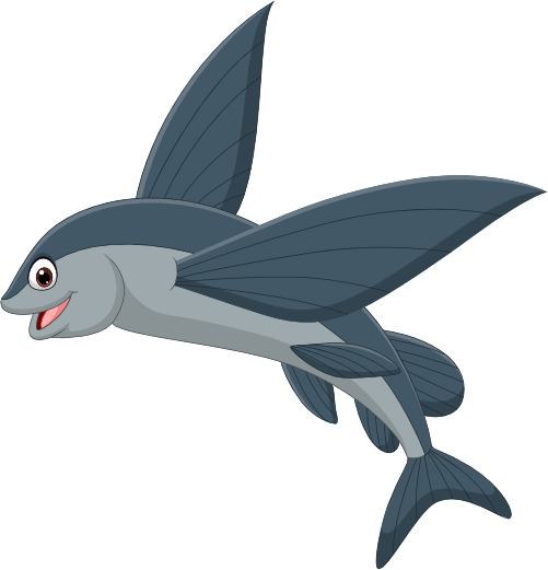 (s337-8-1V) Flying Fish