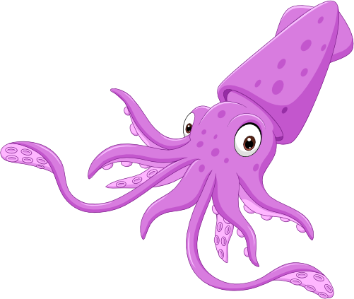 (s337-8-2W) Squid