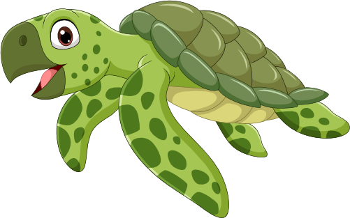 (s337-8-2Y) Turtle