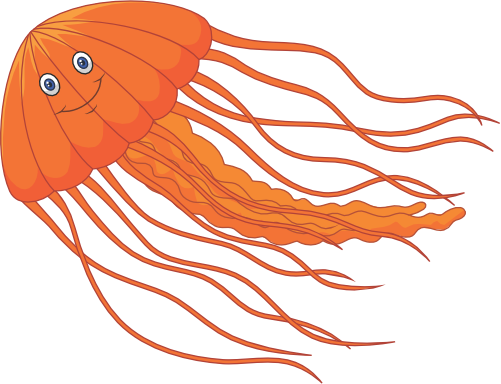 (s337-8-2Z) Jellyfish