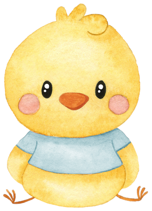 (s034-1-C) Baby Boy Chick