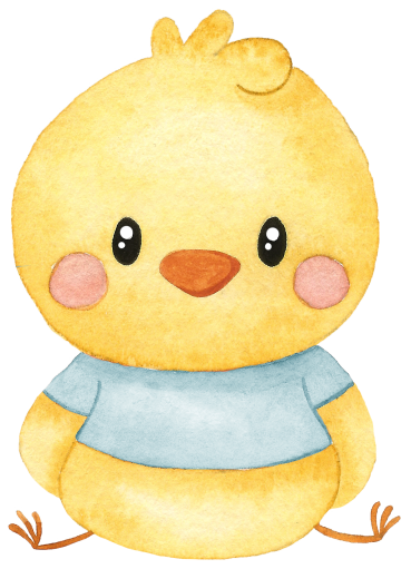 (s034-1-C) Baby Boy Chick