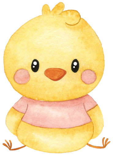 (s034-1-D) Baby Girl Chick