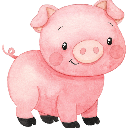 (s034-1-G) Pig