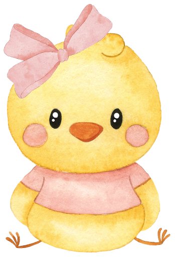 (s034-1-L) Baby Girl Chick