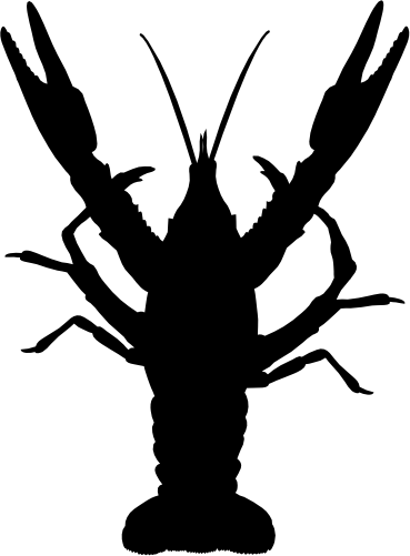 (s341-M) Lobster Silhouette
