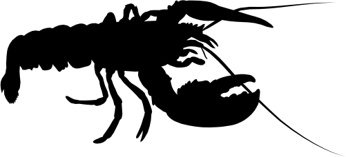 (s341-N) Lobster Silhouette