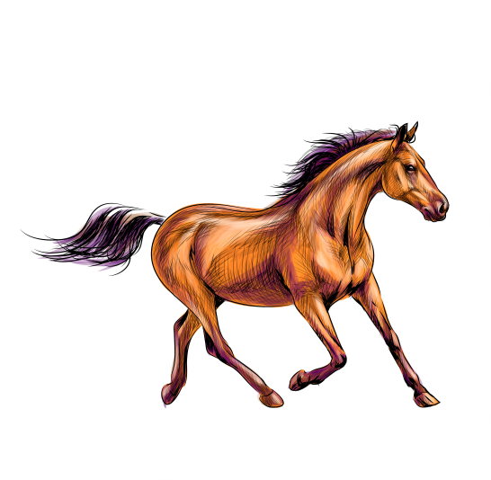 (s346-2-1A) Watercolor Boho Horse