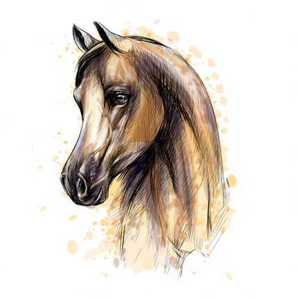 (s346-2-1B) Watercolor Boho Horse