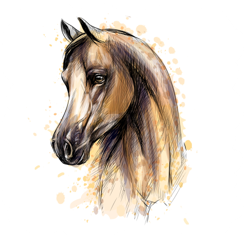 (s346-2-1B) Watercolor Boho Horse