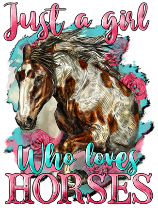 (s346-3A) Just a Girl Who Loves Horses