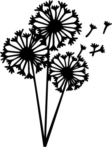 (s347-1-B) Dandelion Flower