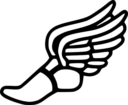 (s349-1A) Track Cross Country Foot Wings