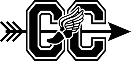 (s349-1B) CC Track Cross Country Foot Wings Arrow