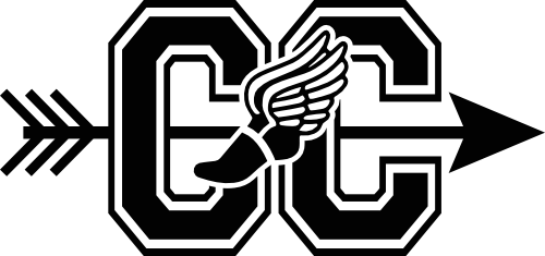 (s349-1B) CC Track Cross Country Foot Wings Arrow