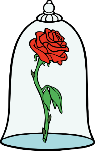 (351-D12-2F) Rose