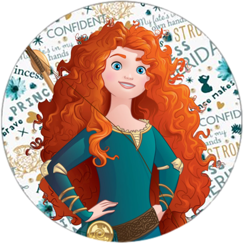 (351-D17-1J) Merida