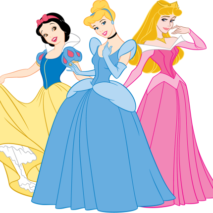 (351-D03-1Y) Princess Group