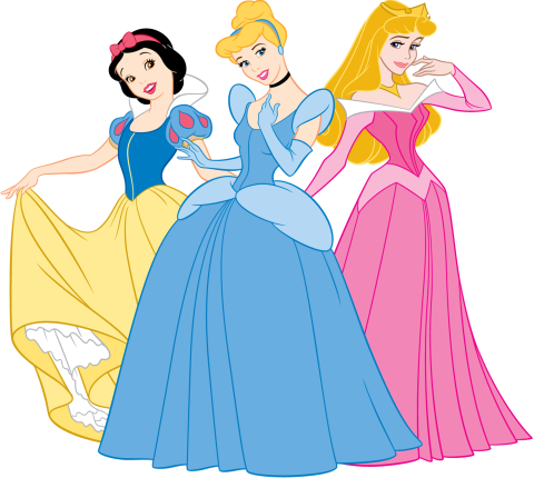 (351-D03-1Y) Princess Group