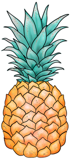 (352) Tropical Summer