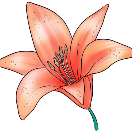 (352) Tropical Summer