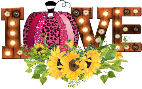 (s354-2M) Marquee Love Sunflowers Pink Pumpkin