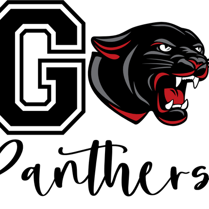 (145-1F-80-2) Go Panthers