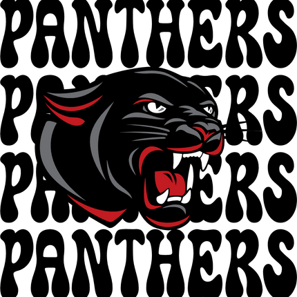 (145-1E-80-2) Panthers