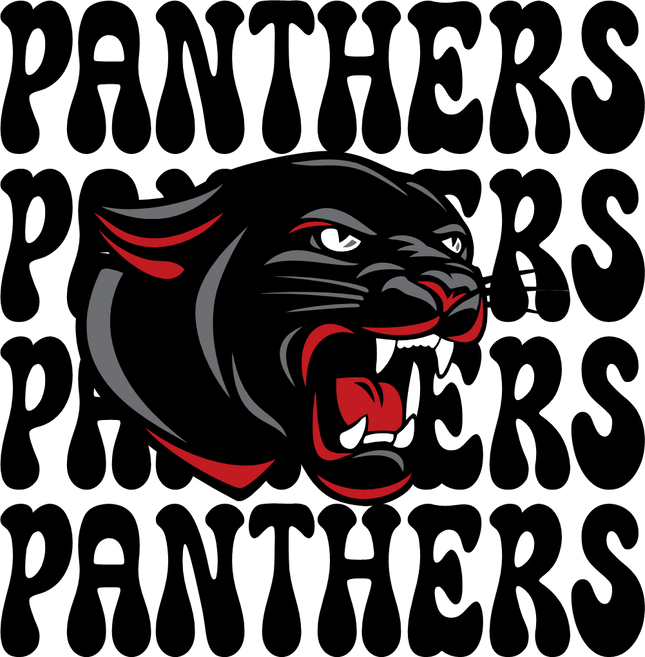 (145-1E-80-2) Panthers