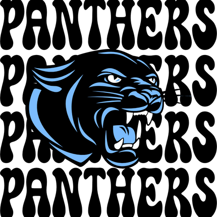 (145-1E-80-3) Panthers
