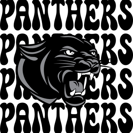 (145-1E-80-1) Panthers