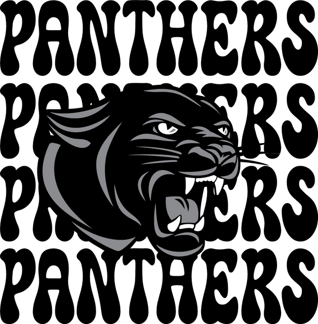 (145-1E-80-1) Panthers