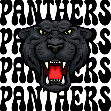 (145-1E-01) Panthers