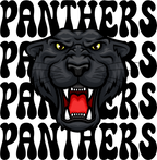 (s145-06) Panthers