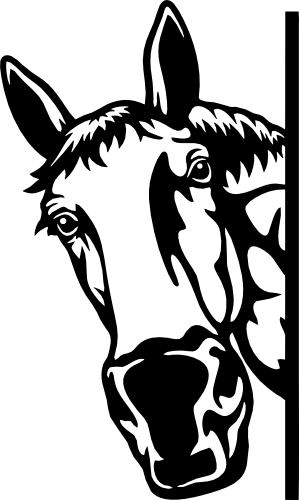 (s356-02-1U) Peeking Horse