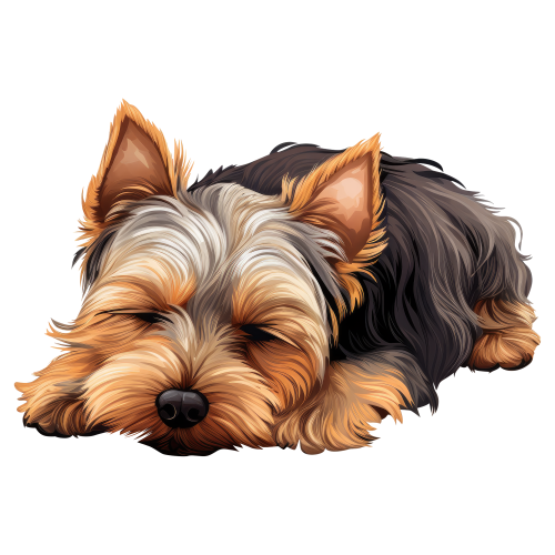 (356-04-2X) Watercolor Sleeping Yorkie Iron-On Transfer