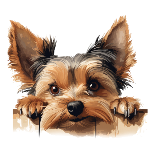 (356-08-2V) Peeking Yorkie Iron-On Transfer