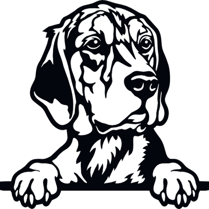 (s356-01-1A) Peeking Dog